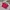 H&M Casual Sweatshirt Wanita red photo 2