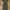 ZARA Minimalist Casual Casual dress Wanita white black photo 1