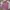 Casual Sweatshirt Wanita pink photo 3