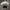 Polo Ralph Lauren Streetwear T-shirt Pria white photo 4