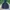 Pancoat Casual Windbreaker Pria black photo 2
