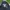 Pancoat Casual Windbreaker Pria black photo 3