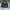 Pancoat Casual Windbreaker Pria black photo 1