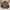 Vintage Y2K Leather jacket Pria brown photo 1