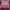 Sportswear Casual Casual shirt Pria multicolor pink photo 3