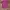 Sportswear Casual Casual Shirt Pria Multicolor Pink