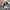 Nike Streetwear Sneakers Pria blue photo 2