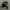 Streetwear Bomber jacket Pria black photo 6