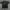 Reebok Casual T-shirt Pria black photo 1