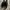ZARA Casual Casual shoe Pria navy photo 3