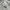 Stussy Casual Hoody Pria gray photo 2