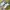 New Balance Streetwear Sneakers Wanita multicolor photo 1