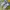 New Balance Streetwear Sportswear Sneakers Pria white green photo 1