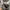 291295=HOMME Streetwear Batik Hoody Pria black gray photo 3