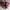 Lafuma Gorpcore Pria red gray photo 4