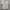 Y2K Casual Casual shirt Pria white red photo 1