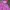 Guess Sportswear Casual Windbreaker Wanita pink photo 2