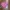 Guess Sportswear Casual Windbreaker Wanita pink photo 1