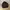 ZARA Luxury Casual Sweatshirt Pria Brown