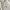 Polo Ralph Lauren Luxury Casual Sweatshirt Pria white photo 2