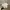 Polo Ralph Lauren Luxury Casual Sweatshirt Pria white photo 1