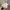 Polo Ralph Lauren Luxury Casual Sweatshirt Pria White