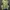 Y2K Sportswear Jersey Pria gold gray photo 2