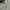 Disney Futurist Casual Sweatshirt Pria White
