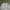 Disney Futurist Casual Sweatshirt Pria White