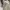 The North Face Casual Bag Pria cream photo 5