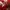 Adidas Vintage Y2K Hoody Pria white red photo 3