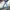 Ben Davis Grunge Wide leg jeans Wanita blue photo 1