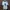 Nike Y2K Sportswear Jersey Pria white photo 1