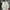 Under Armour Streetwear Hoody Pria White Gray