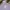 Converse Streetwear Y2K Hoody Pria purple photo 2