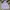 Converse Streetwear Y2K Hoody Pria purple photo 1