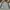 Columbia Sportswear Fleece Pria gray photo 4