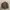 Levi's Vintage Denim jacket Pria brown photo 2