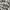 Quiksilver Streetwear Casual Formal shirt Pria white gray photo 2