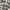 Quiksilver Streetwear Casual Formal Shirt Pria White Gray
