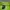 Gorpcore Sportswear Jersey Wanita green photo 2
