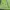 Gorpcore Sportswear Jersey Wanita green photo 4