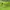 Gorpcore Sportswear Jersey Wanita green photo 3