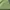 Gorpcore Sportswear Jersey Wanita green photo 5