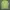 Gorpcore Sportswear Jersey Wanita green photo 1