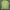 Gorpcore Sportswear Jersey Wanita Green