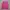 Timberland Gorpcore Sportswear Jersey Wanita pink photo 1