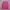 Timberland Gorpcore Sportswear Jersey Wanita Pink