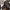 Adidas Casual Hoody Pria brown black photo 6