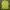 Lafuma Gorpcore Sportswear Jersey Wanita green photo 1